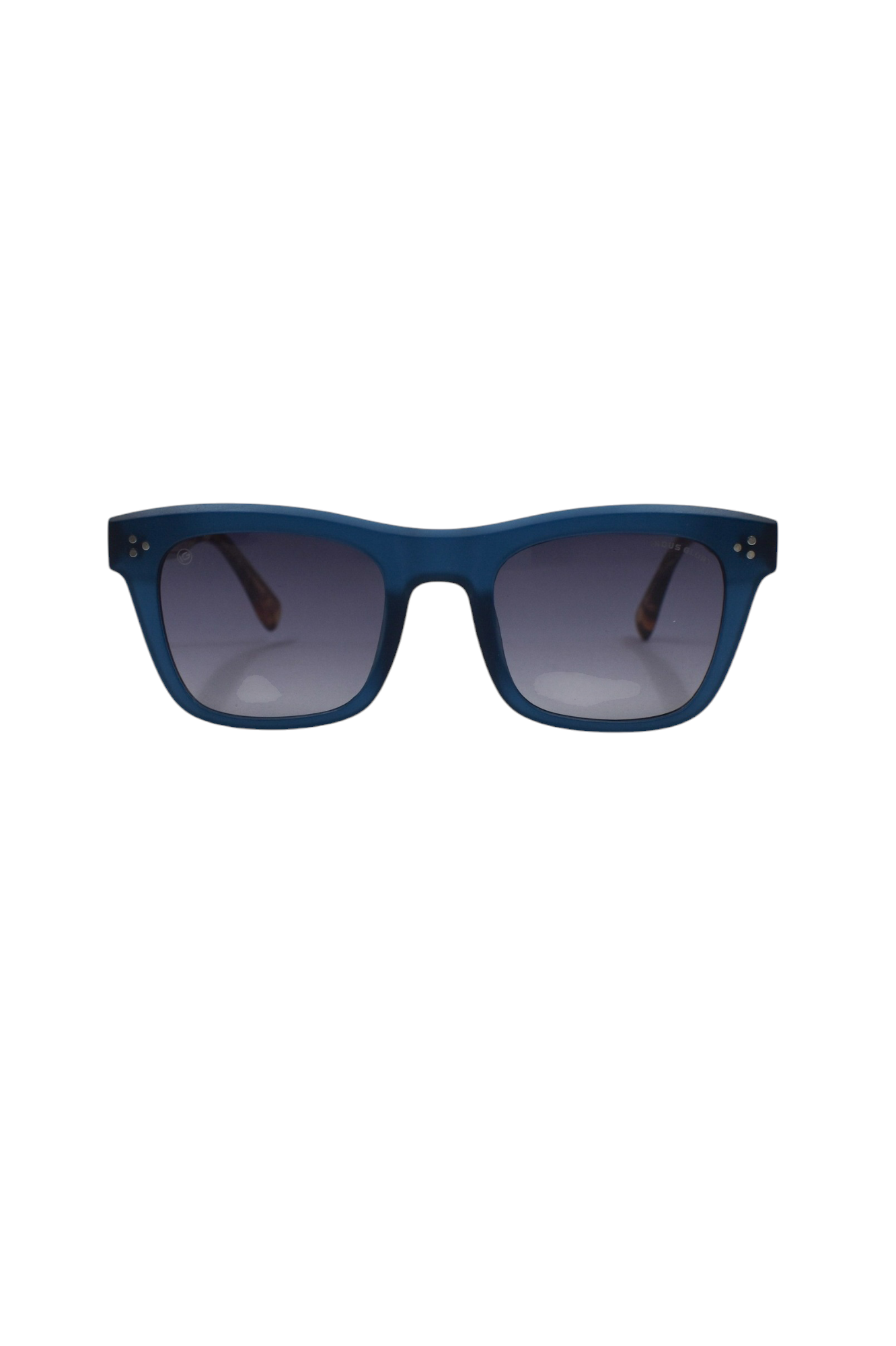 Polarized Sunglass