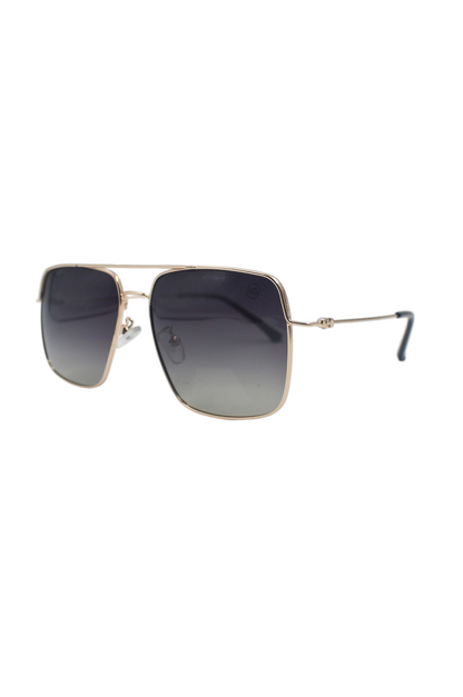 Polarized Sunglass