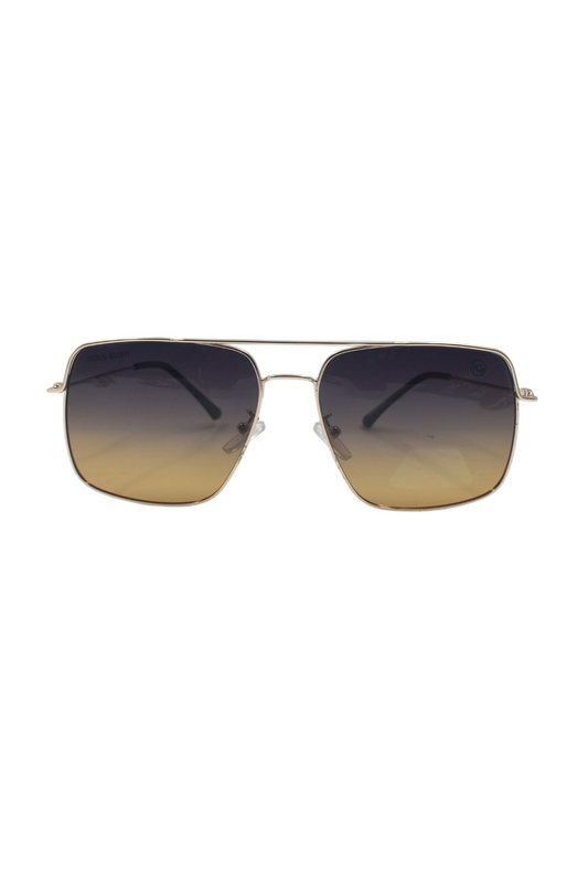 Polarized Sunglass