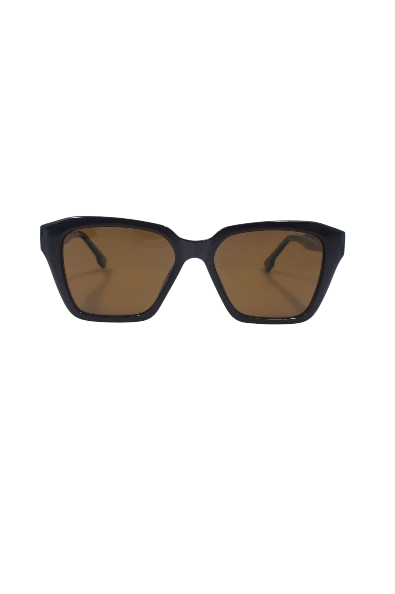 Polarized Sunglass