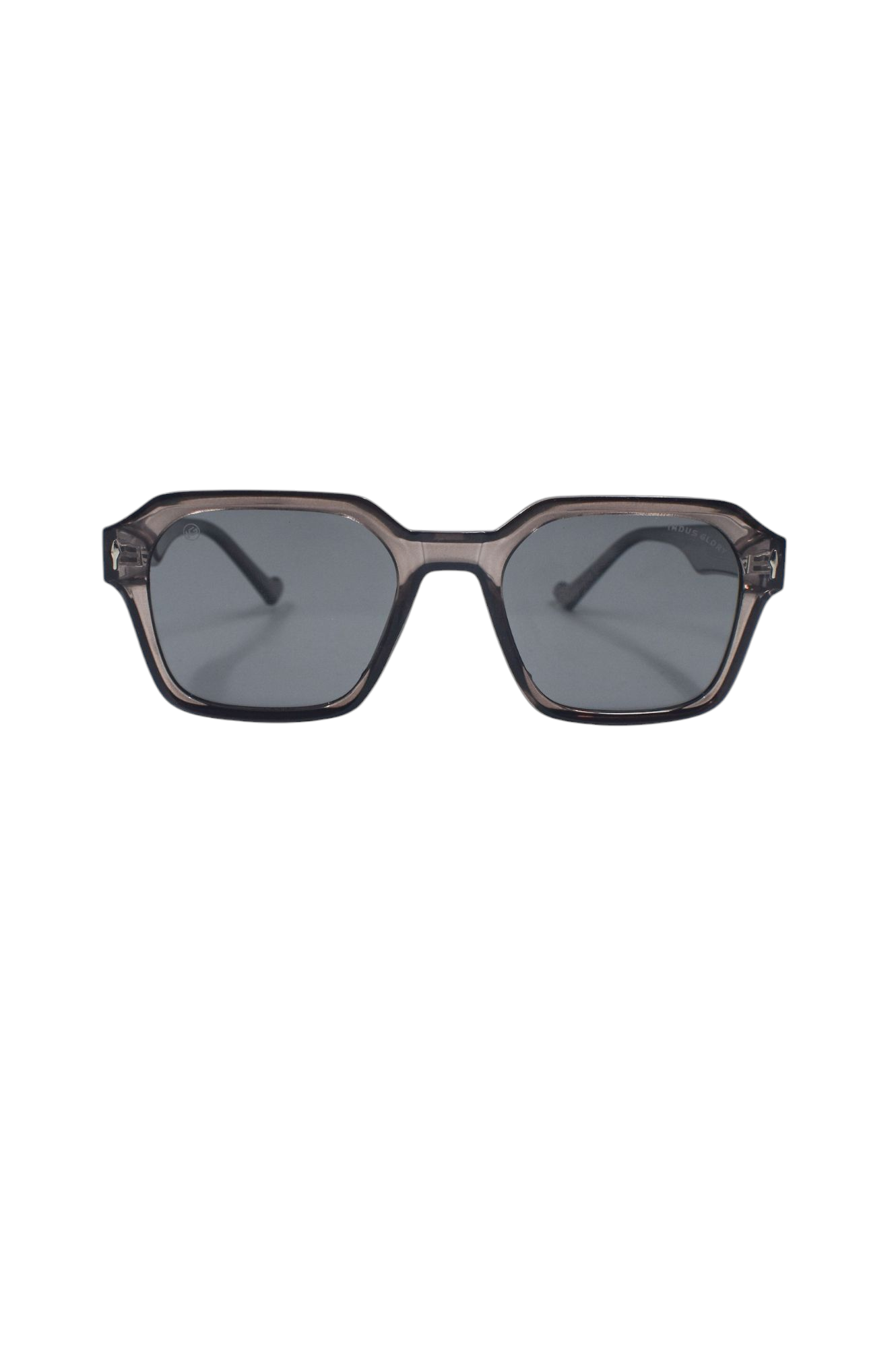 Polarized Sunglass